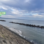 イルカ発見 (^▽^)/