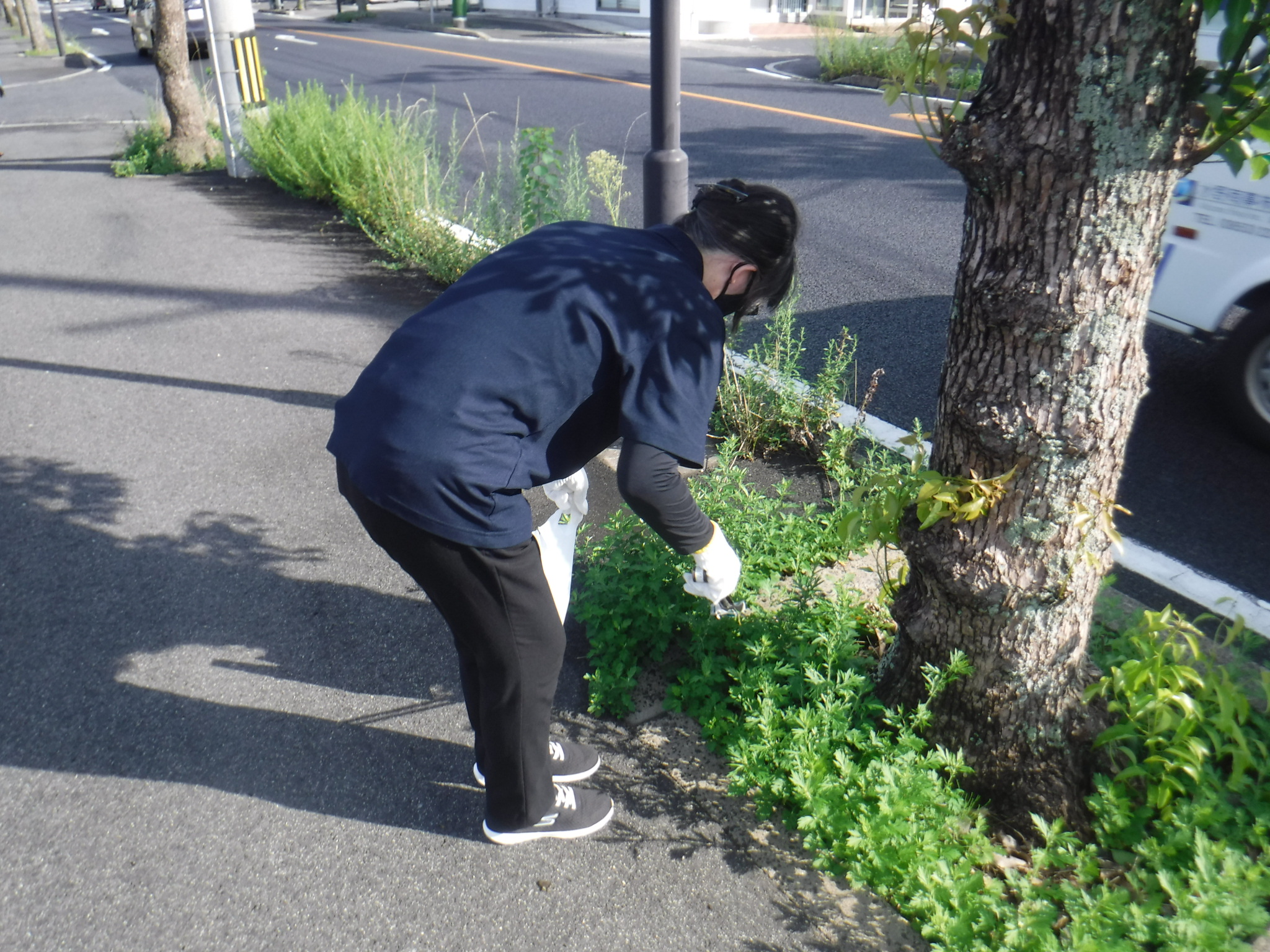 ハートフルしまね（道路）