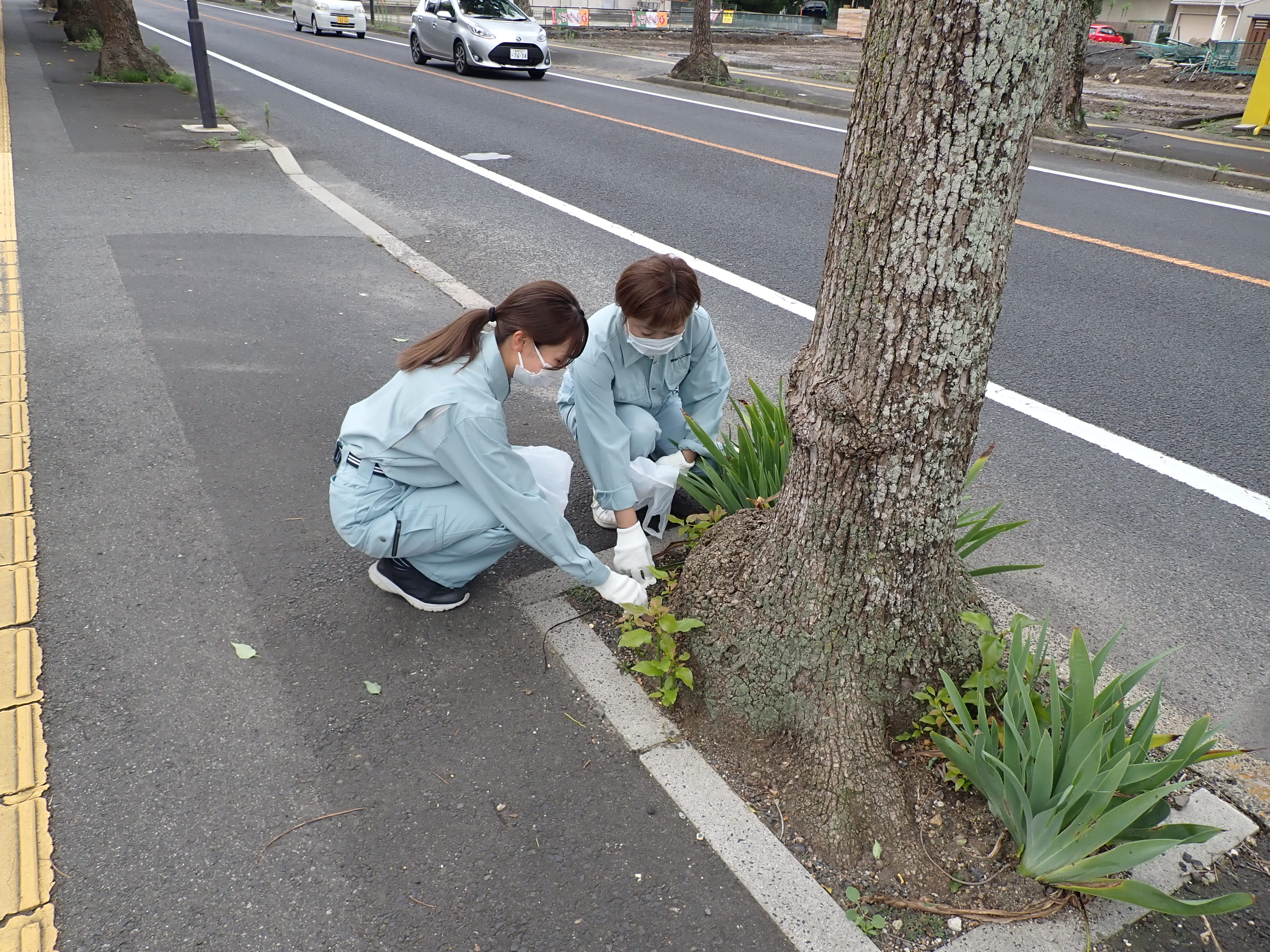 ハートフルしまね（道路）