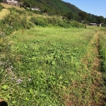 田舎暮らし